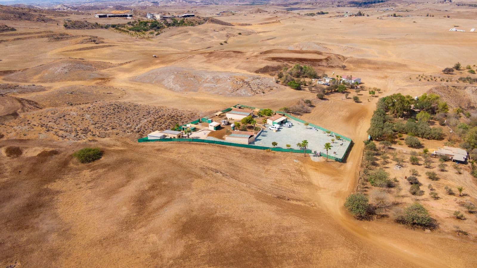 Vico Kennel facility — dogs and cats in Cyprus
